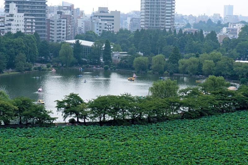 Hotel Coco Grand Ueno Shinobazu Tokyo Ngoại thất bức ảnh